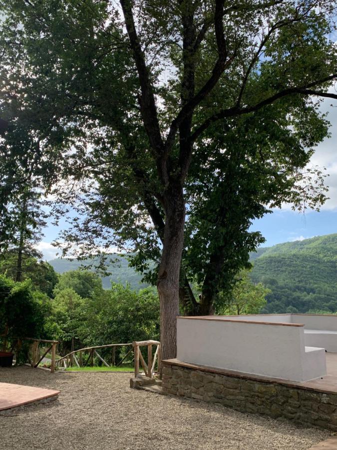 Parulia Country House Arezzo Exterior photo